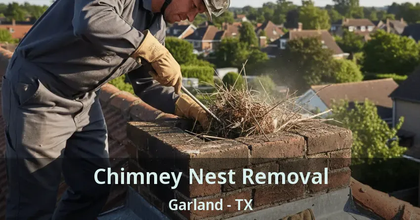 Chimney Nest Removal Garland - TX