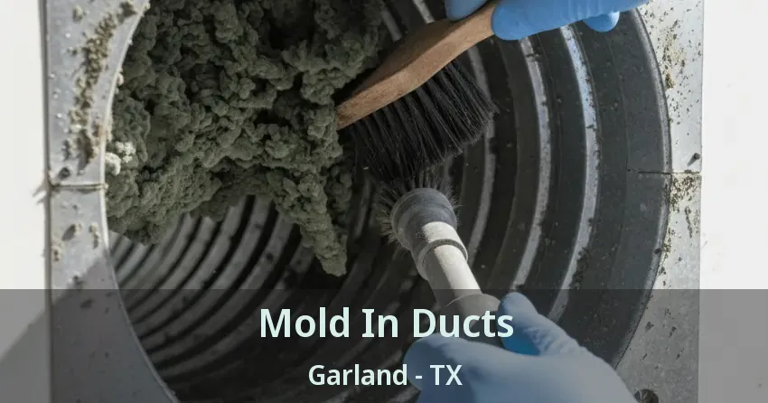 Mold In Ducts Garland - TX