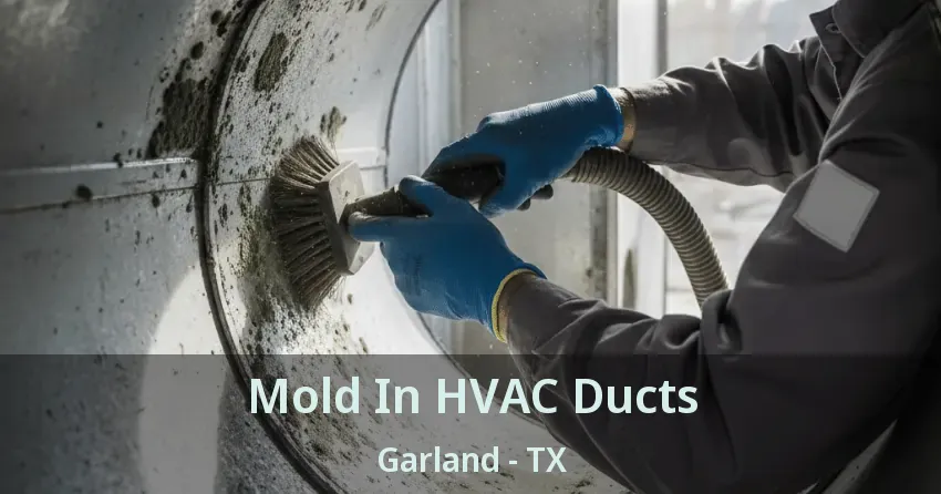 Mold In HVAC Ducts Garland - TX