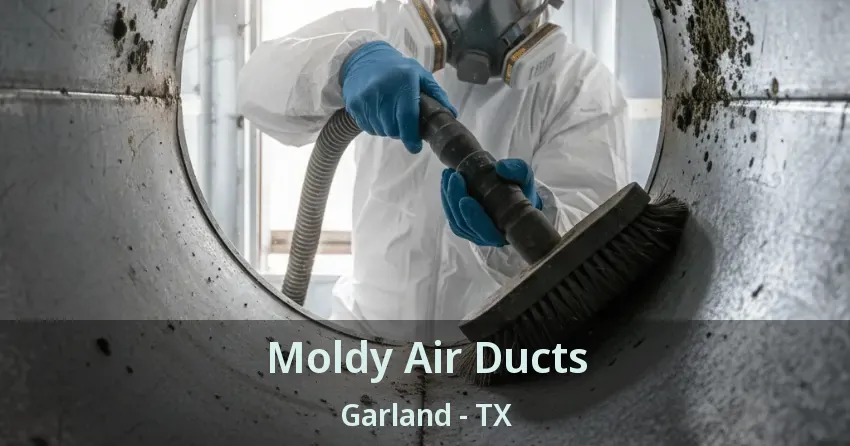 Moldy Air Ducts Garland - TX